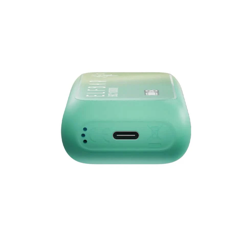 Elf Bar BC10000 Fuji Ice Charging Port
